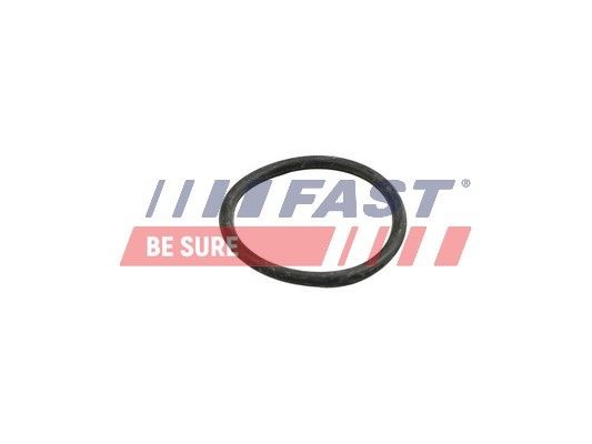 Mercedes-Benz GLB Seal, coolant tube FAST FT49918 cheap