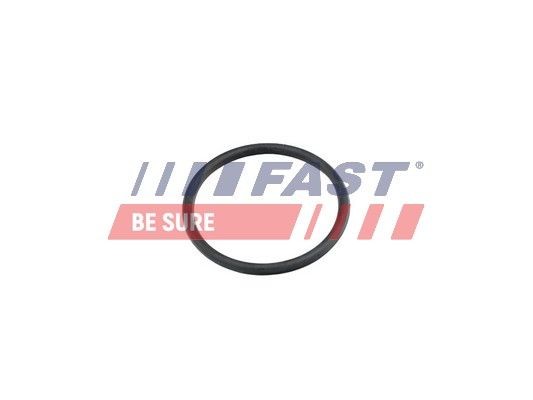 Ford TRANSIT Gasket, thermostat FAST FT49920 cheap