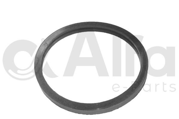 Original AF10613 Alfa e-Parts Thermostat gasket experience and price