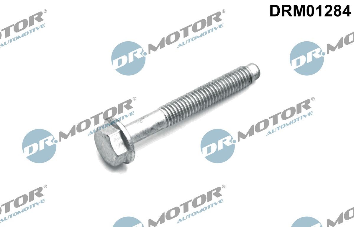 Opel Insignia B Sports Tourer Fuel injection parts - Screw, injection nozzle holder DR.MOTOR AUTOMOTIVE DRM01284