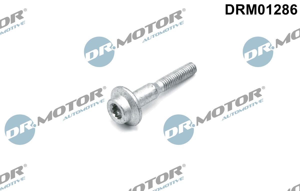 Seat IBIZA Screw, injection nozzle holder DR.MOTOR AUTOMOTIVE DRM01286 cheap