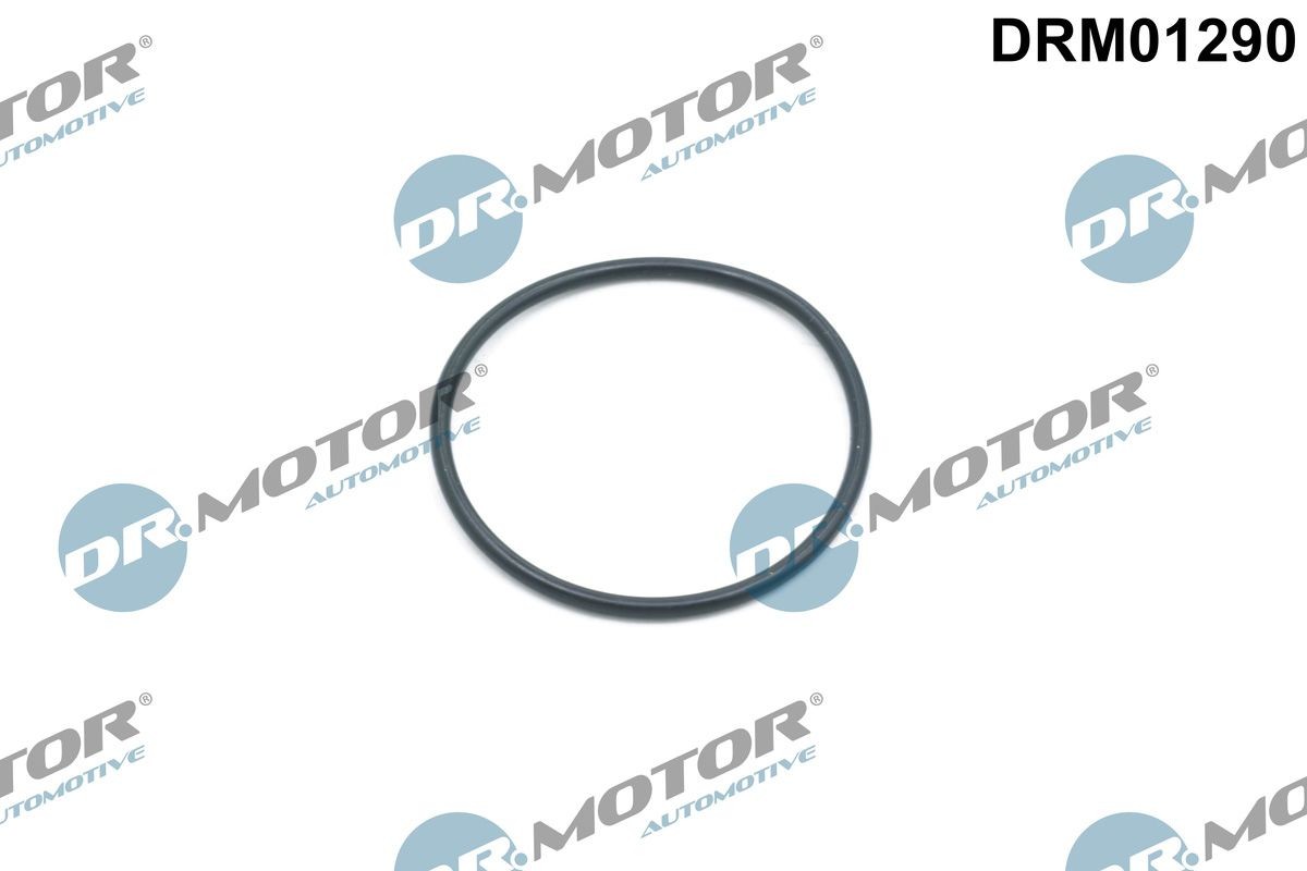 Land Rover Seal Ring, timing chain tensioner DR.MOTOR AUTOMOTIVE DRM01290 at a good price
