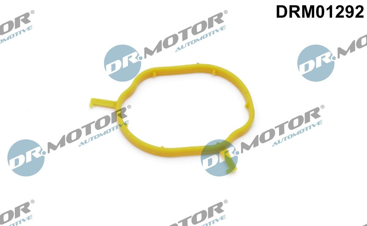 DR.MOTOR AUTOMOTIVE DRM01292 Seal, coolant pipe HONDA STREAM in original quality