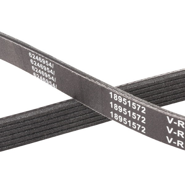 305P0102P Ribbed belt 305P0102P RIDEX PLUS 2390mm, 6, Polyester, EPDM (ethylene propylene diene Monomer (M-class) rubber)