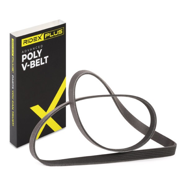 RIDEX PLUS Drive belt 305P0067P