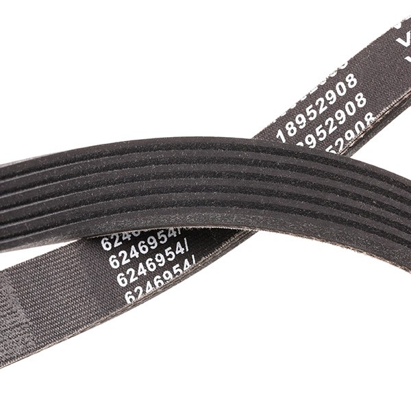 305P0116P Ribbed belt 305P0116P RIDEX PLUS 1019mm, 6, EPDM (ethylene propylene diene Monomer (M-class) rubber), Permanently elastic