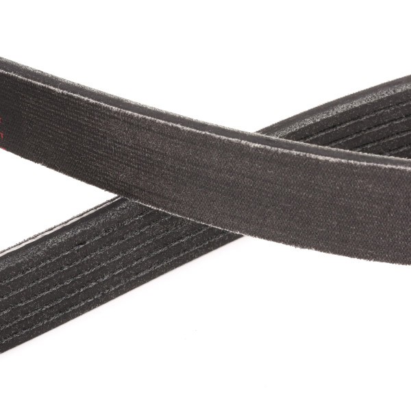 305P0242P Ribbed belt 305P0242P RIDEX PLUS 1173mm, 6, Polyester, EPDM (ethylene propylene diene Monomer (M-class) rubber)