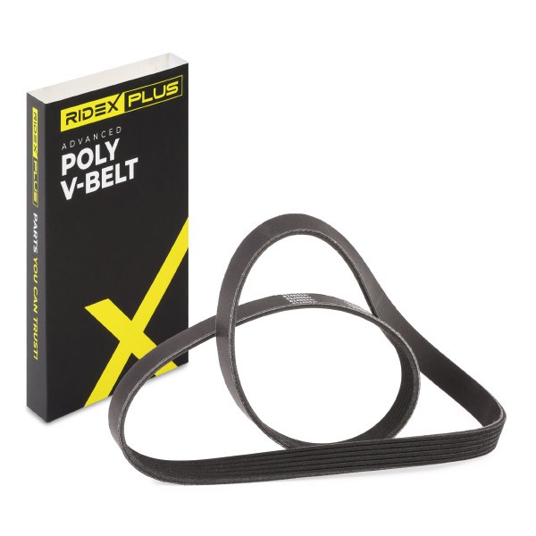 RIDEX PLUS Drive belt 305P0289P