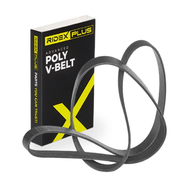 RIDEX PLUS Drive belt 305P0083P