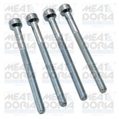 Smart Screw, injection nozzle holder MEAT & DORIA 98508 at a good price