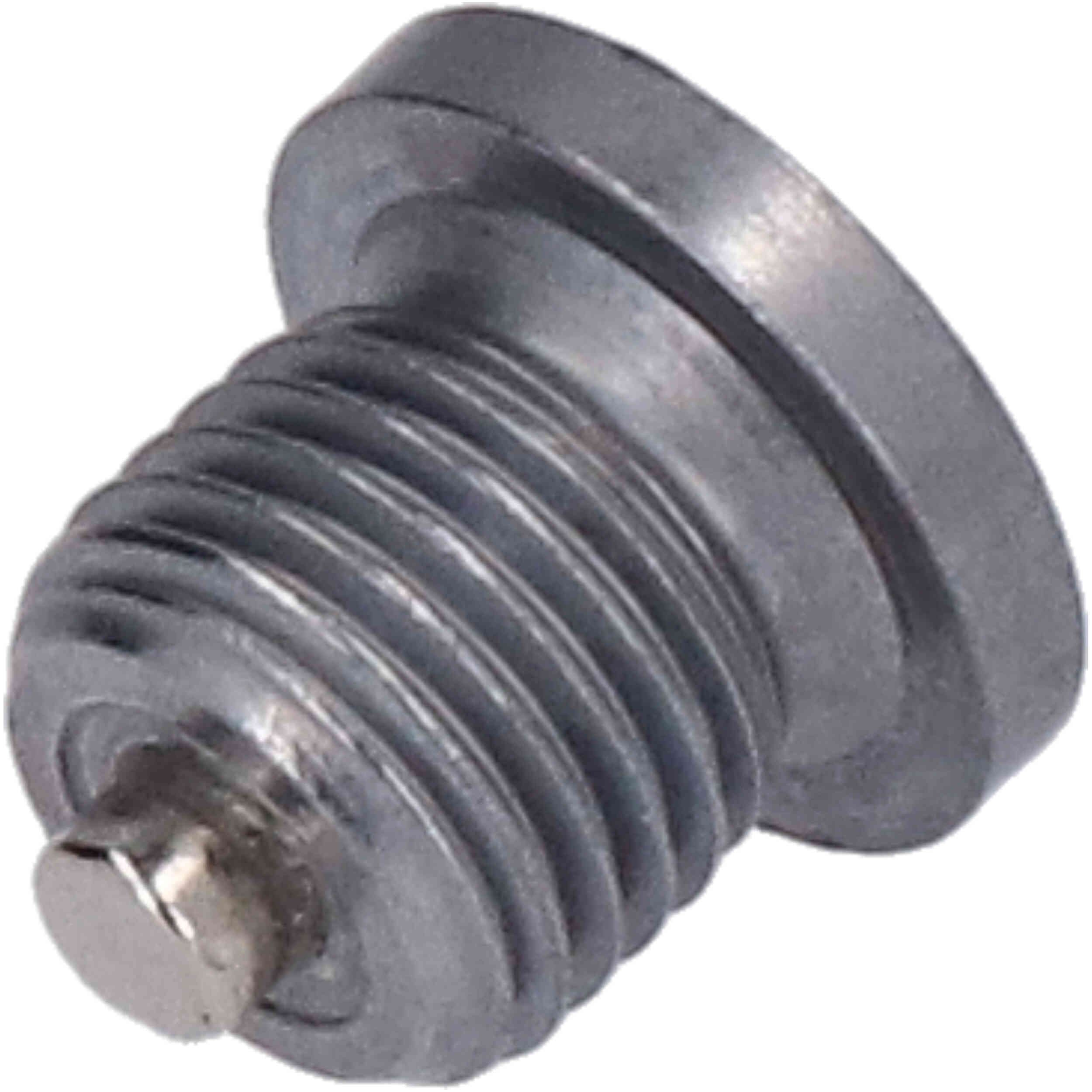 VEMA 309013 Sealing Plug, oil sump N91101402