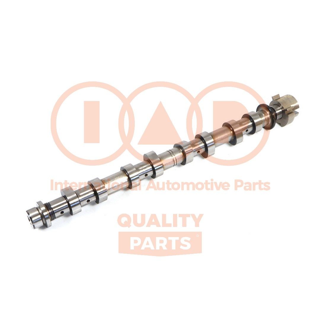 IAP QUALITY PARTS 124-13116 Renault SCÉNIC 2014 Engine camshaft