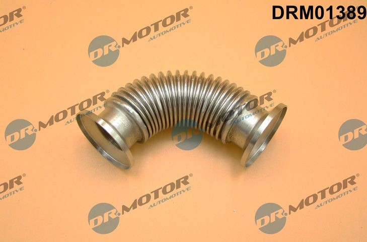 DR.MOTOR AUTOMOTIVE DRM01389 EGR valve NISSAN PRIMERA 2001 price