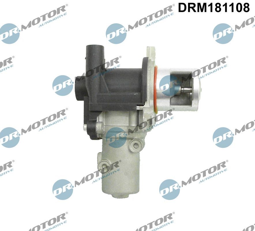 DR.MOTOR AUTOMOTIVE EGR valve DRM181108 Dacia SANDERO 2010