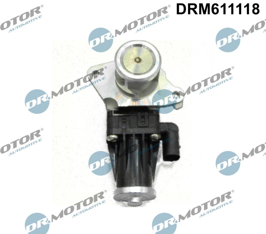 DR.MOTOR AUTOMOTIVE DRM611118 EGR valve PEUGEOT BIPPER 2008 in original quality