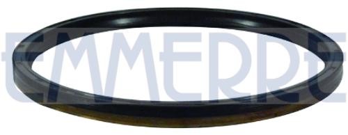 EMMERRE 101507 Wellendichtring, Differential für IVECO EuroTech MP LKW in Original Qualität