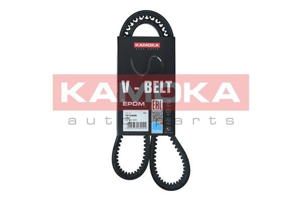 KAMOKA 7010309 V-Belt 0029979792