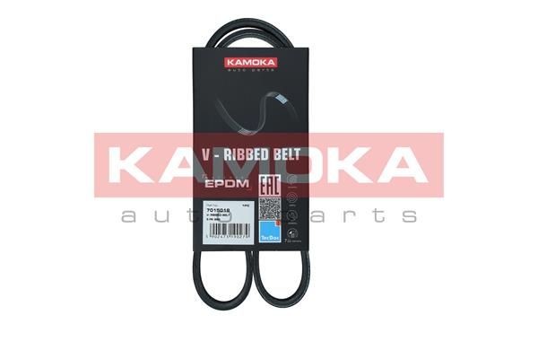KAMOKA 7015019 Serpentine belt FORD experience and price