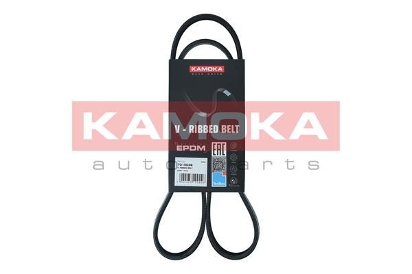 Serpentine belt KAMOKA 7015036 - Honda INSIGHT Belts, chains, rollers spare parts order