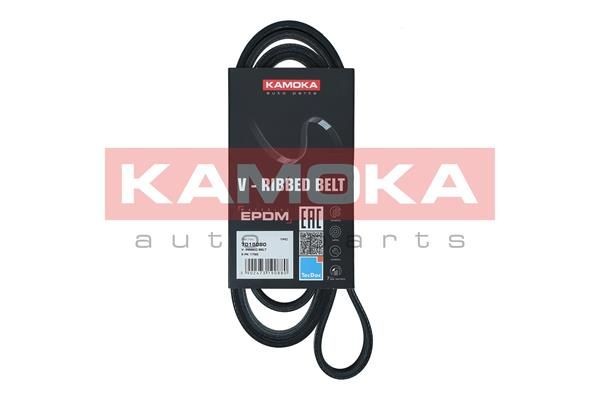 Mercedes A-Class V-ribbed belt 19170909 KAMOKA 7015080 online buy