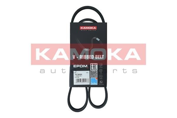 KAMOKA Serpentine belt 7016025 Ford MONDEO 2020