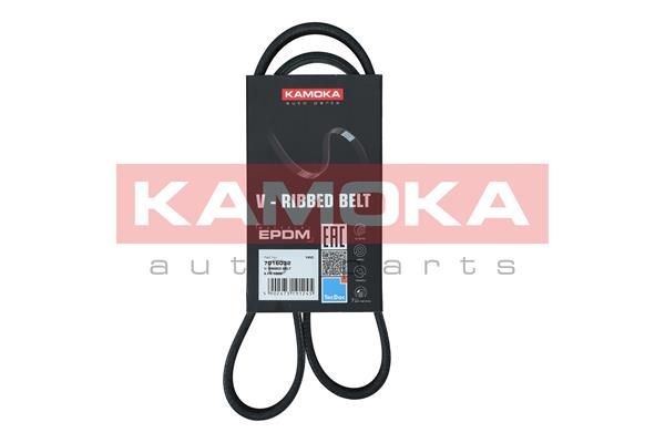 BMW X3 Ribbed belt 19170945 KAMOKA 7016032 online buy
