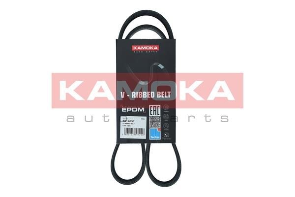 Škoda OCTAVIA V-ribbed belt 19170950 KAMOKA 7016037 online buy