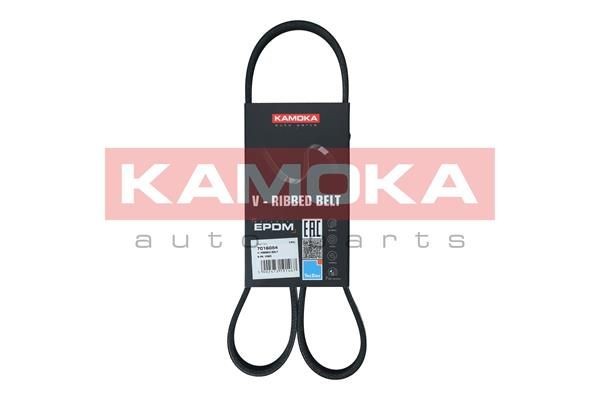 Volkswagen POLO Ribbed belt 19170967 KAMOKA 7016054 online buy