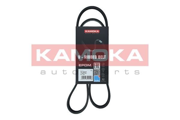 KAMOKA 7016057 Auxiliary belt Fiat Ducato 244 2.0 LPG 97 hp Petrol/Liquified Petroleum Gas (LPG) 2004 price