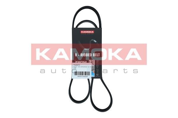 KAMOKA 7016073 Poly v-belt VW Multivan T5 2.0 TSI 204 hp Petrol 2013 price