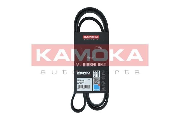 KAMOKA 7016119 Serpentine belt CHRYSLER experience and price