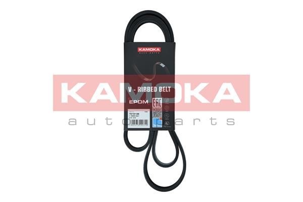 KAMOKA 7016139 Poly v-belt Audi A6 C4 Avant 2.6 139 hp Petrol 1997 price