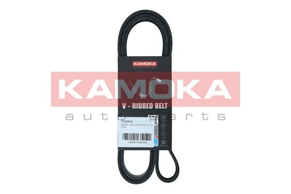 Ford FOCUS Aux belt 19171055 KAMOKA 7016142 online buy