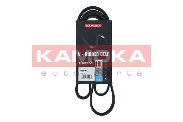 KAMOKA 7016147 BMW X1 2018 Ribbed belt