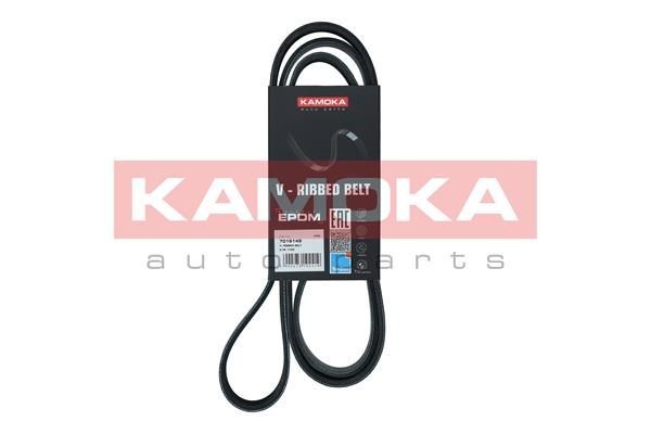 Fiat FREEMONT Serpentine belt KAMOKA 7016149 cheap
