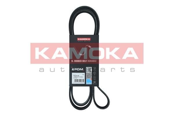 KAMOKA 7016173 Serpentine belt AG9Q6C301CA
