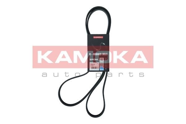 KAMOKA 7016176 Ribbed belt BMW 3 Saloon (E90) 320 i 150 hp Petrol 2007