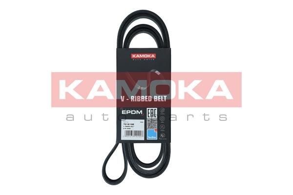KAMOKA 7016198 Ribbed belt BMW 3 Compact (E46) 320 td 136 hp Diesel 2001