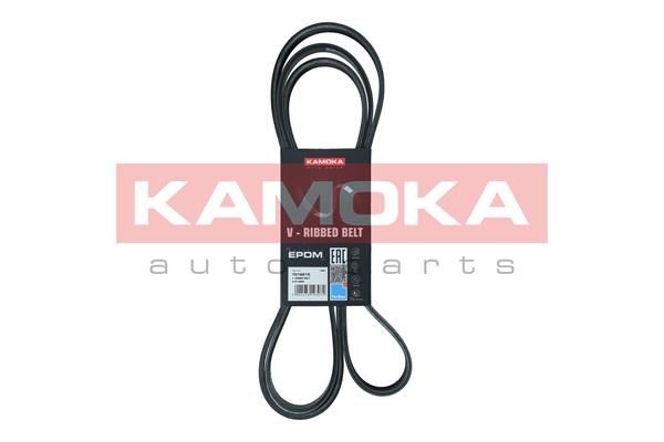 Ford USA Mustang Coupe Belt and chain drive parts - Serpentine belt KAMOKA 7016215