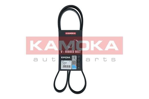 Fiat TALENTO Serpentine belt KAMOKA 7017012 cheap