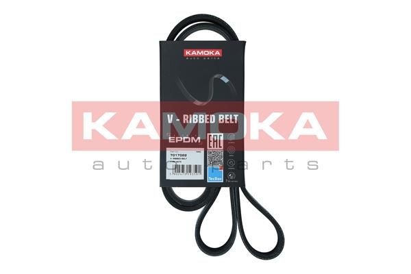 KAMOKA 7017022 Auxiliary belt RENAULT Megane 4 Grandtour 1.6 dCi 165 163 hp Diesel 2019 price