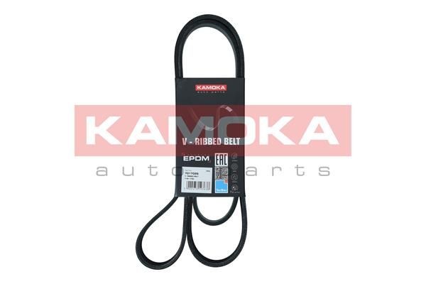 Serpentine belt KAMOKA 7017026 - Honda CR-V II (RD) Belt and chain drive spare parts order
