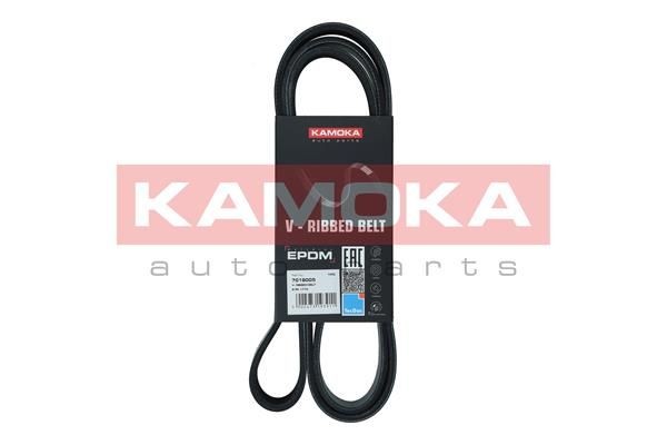 Škoda OCTAVIA Ribbed belt 19171212 KAMOKA 7018005 online buy