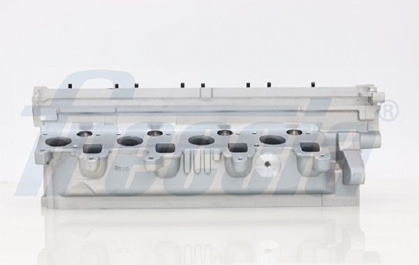 FRECCIA CH17-1025 Cylinder Head without camshaft(s), without valves, without valve springs
