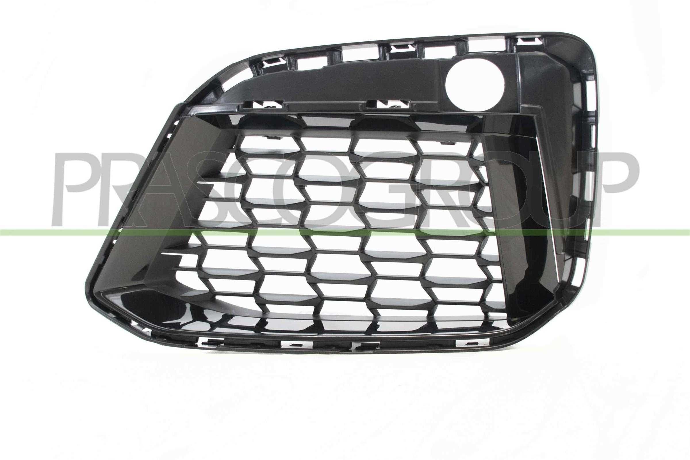 BM0552124 PRASCO Grille BMW Fitting Position: Left Front, Surface: Glossy