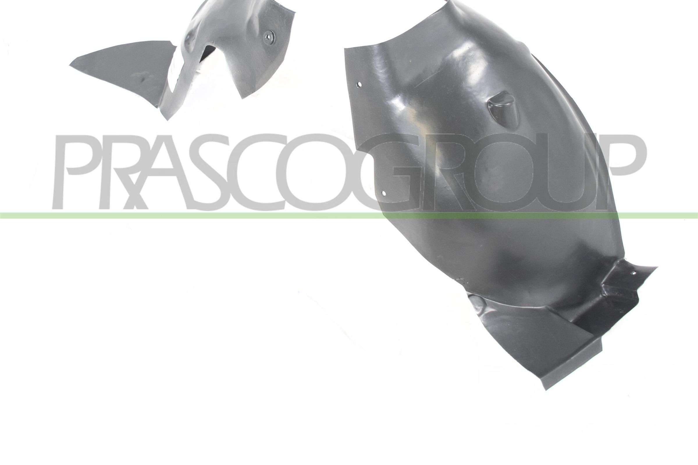 PRASCO Right Front Panelling, mudguard PG0093643 buy