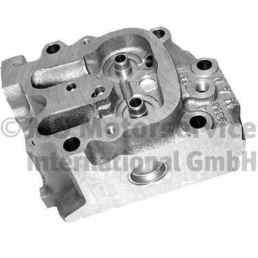 BF Grey Cast Iron, with valve guides, with valve seats Cylinder Head 20080225661 buy