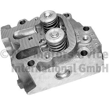 BF Grey Cast Iron, with valve guides, with valve seats, with valves Cylinder Head 20080228669 buy
