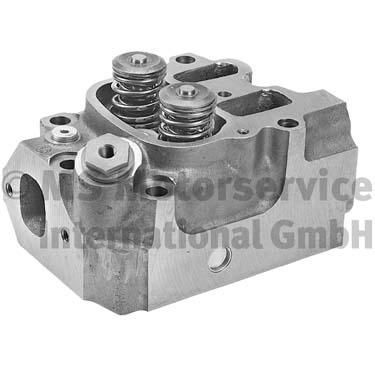 BF 20080344000 Cylinder Head Grey Cast Iron, with valve guides, with valve seats, with valves