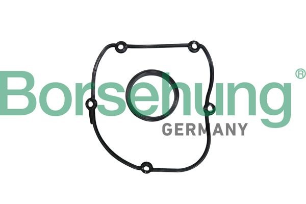 Volkswagen TRANSPORTER Gasket, timing case cover Borsehung B10627 cheap